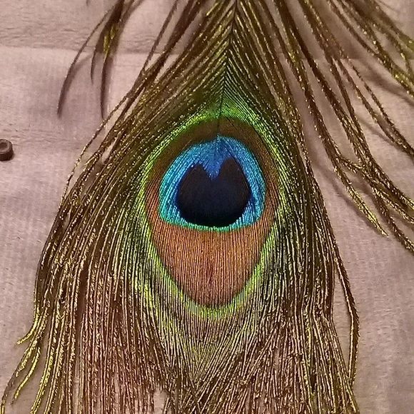 Hair Statement Peacock Feather! - Picture 3 of 6